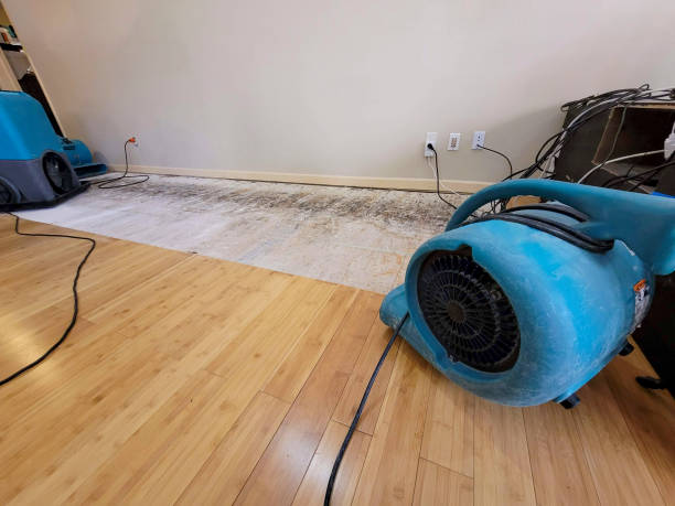 Professional Ceiling Water Damage Repair technician working in Warrensburg, IL